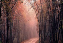 江西队客场负于陕西，战绩不振